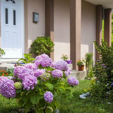 Kuca Bulajic Apartamento Budva Exterior foto